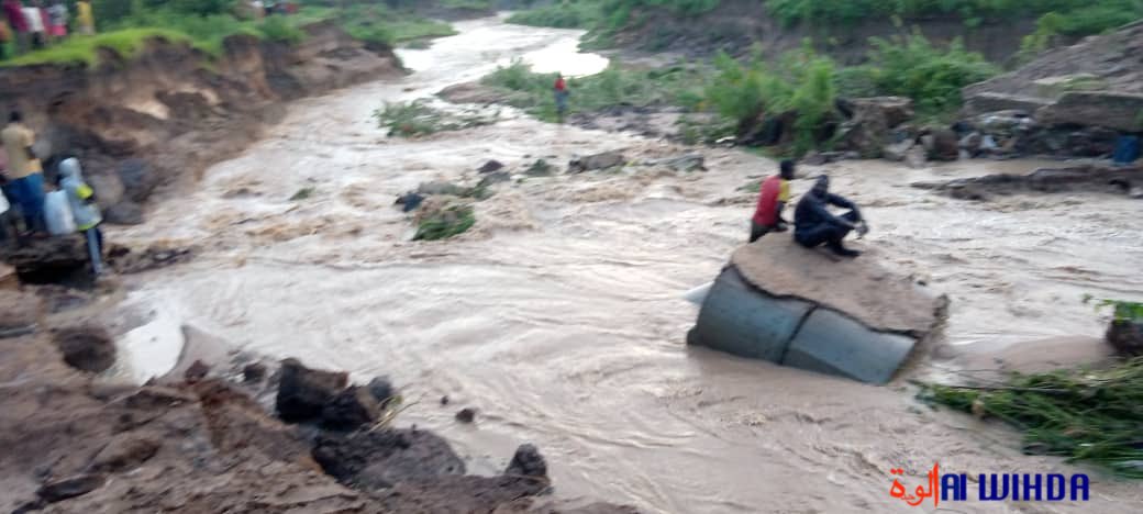 alwihdainfo's tweet photo. 🇹🇩 #Tchad : une grosse pluie a fait d’énormes dégâts à Pala ce dimanche en fin d’après-midi. Bilan : des maisons écroulées et englouties, des ponts cassés et un enfant décédé. https://t.co/GHXuB0z0rI