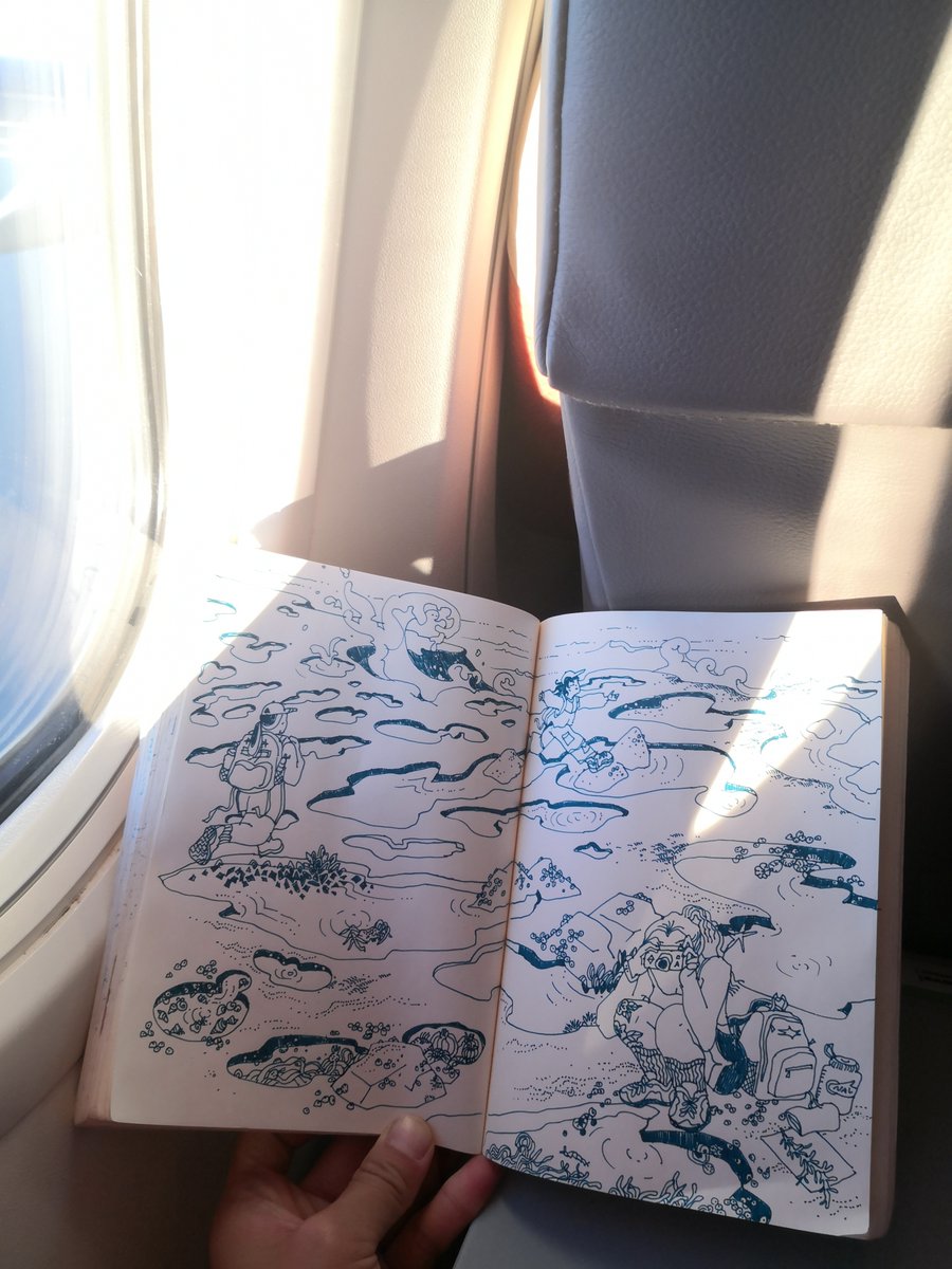 dunno what's wilder, riding in an airplane or the pacific west coast. memory sketchbook of botanical/ big wave beach