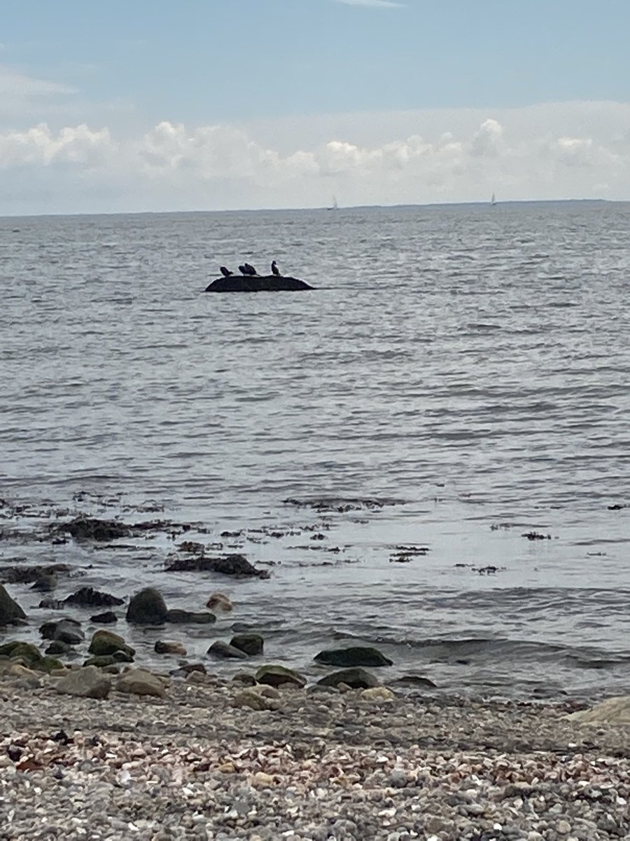 Christo92633182's tweet photo. A little cloudy but Iโll take it over rain any day. #ctbeaches #oldsaybrookct #indiantown https://t.co/KMtYlrKA8s