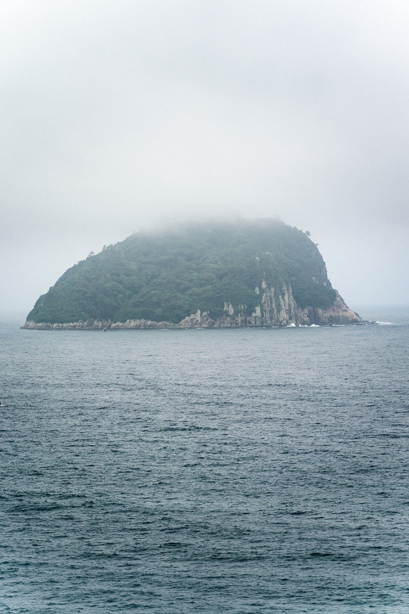 KacperLewtak's tweet photo. The foggy days on southern Jeju made for some picturesque landscapes. #photography #landscapes #nature #Jeju #Korea https://t.co/BroCF29Xka