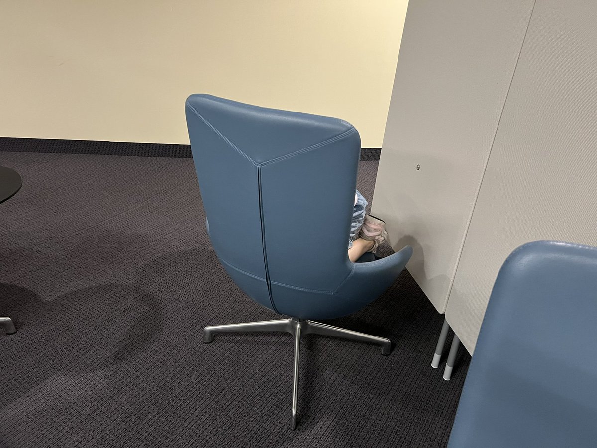 Josh Matlow tweet media