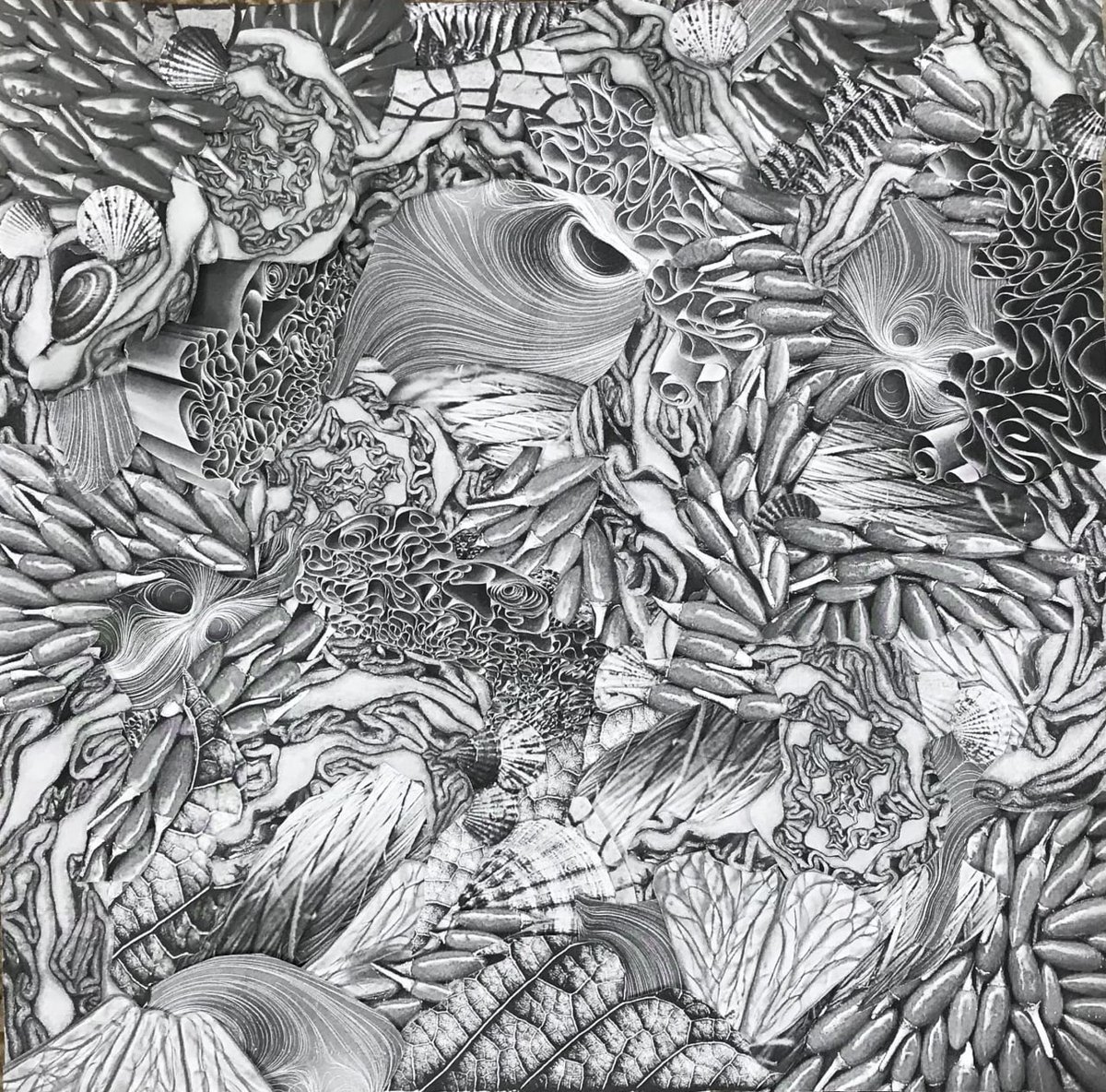 KhosraviPantea's tweet photo. the peppers are going around 
🔺just 0.5eth
🔺available on @opensea
🔺collage art
#NFTCommunity #nft #nfttehran #opensea #NFTdrops #NFTsales #nftsale 

https://t.co/8KWDLlyA7B https://t.co/flwIRtJgA6