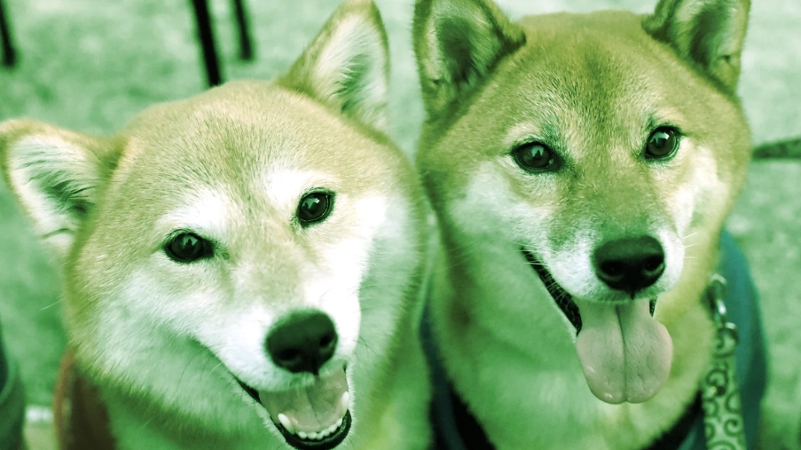 SiriusNFT1's tweet photo. #SHIB, #Dogecoin Up Double-Digits Over the Week
Although Dogecoin and #ShibaInu posted losses in the past 24 hours, both meme coins are still boasting solid gains over the last week
#Cryptocurency #cryptocurrencies #CryptoNews #doge #DogeShiba https://t.co/ujE14gQSJC