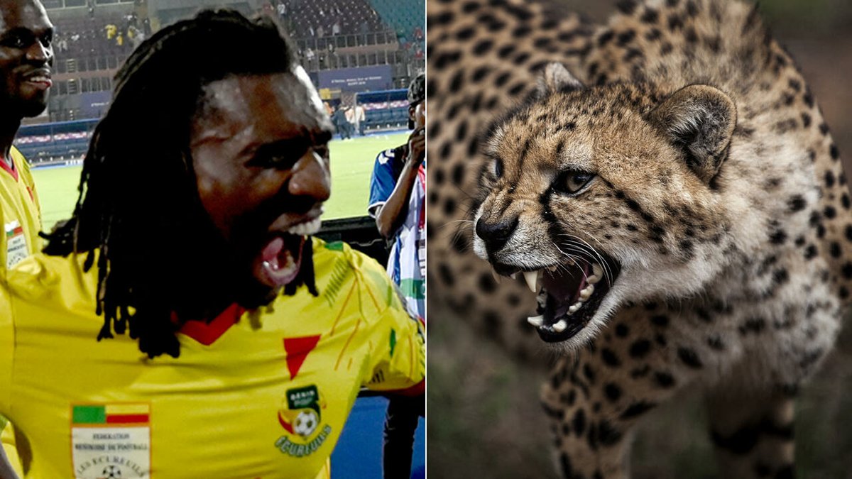 RFI's tweet photo. Équipe de football du Bénin: les Écureuils n'existent plus, place désormais aux Guépards https://t.co/lrbcTPTXyr https://t.co/4dq2ICNtnz