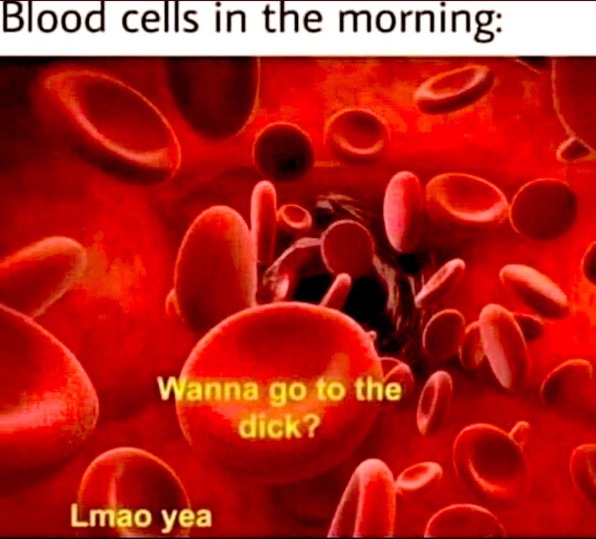 wendeeluvz's tweet photo. 🤣💯🤘🏼🩸♥️🩸♥️🩸♥️🩸♥️🩸 https://t.co/8ClvPCTln9