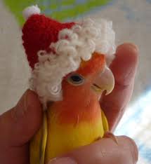 Speedblox's tweet image. 