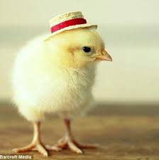 Speedblox's tweet image. 