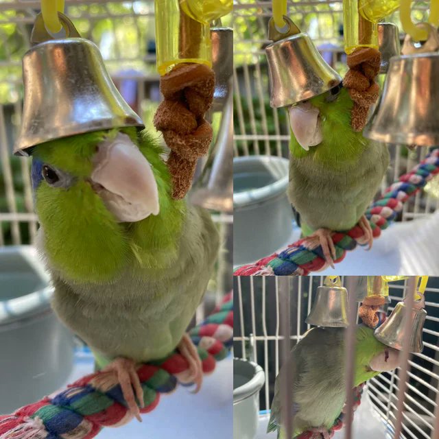 Speedblox's tweet image. 