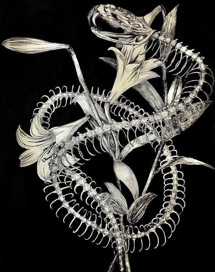 蛇骨 のイラスト マンガ コスプレ モデル作品 件 Twoucan