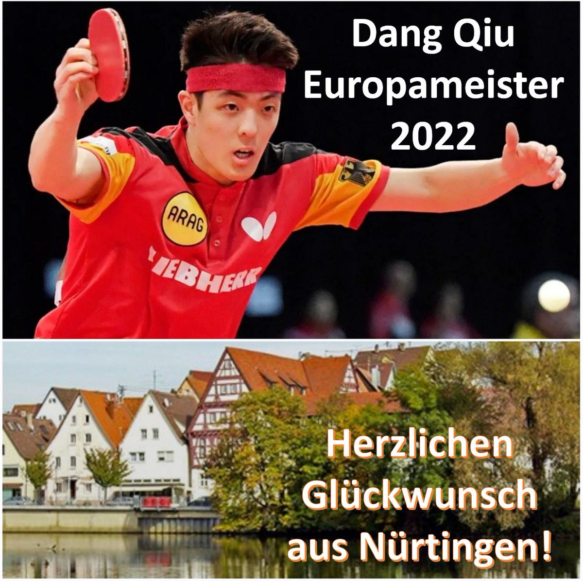 VfB_Master's tweet photo. Als Masterstudiengang im Bereich Leadership &amp; Sportmanagement begeistert uns jede Spitzenleistung im Sport - erst recht, wenn derjenige, der sie vollbringt, aus unserer Stadt kommt. Dang Qiu wurde heute als gebürtiger Nürtinger Europameister im Tischtennis! Respekt! #VfB-Master https://t.co/ujP8qx9aTw