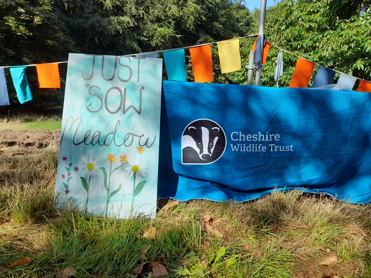 AdamLinnet1's tweet photo. This weekend we went to @justsofestival and spoke to over 1,000 people about the importance of native wildflower meadows and they helped us to sow a meadow on site too!! Looking forward to seeing it next year 🙂 #JustSow #WildflowerHour https://t.co/Nub1dfOQA8