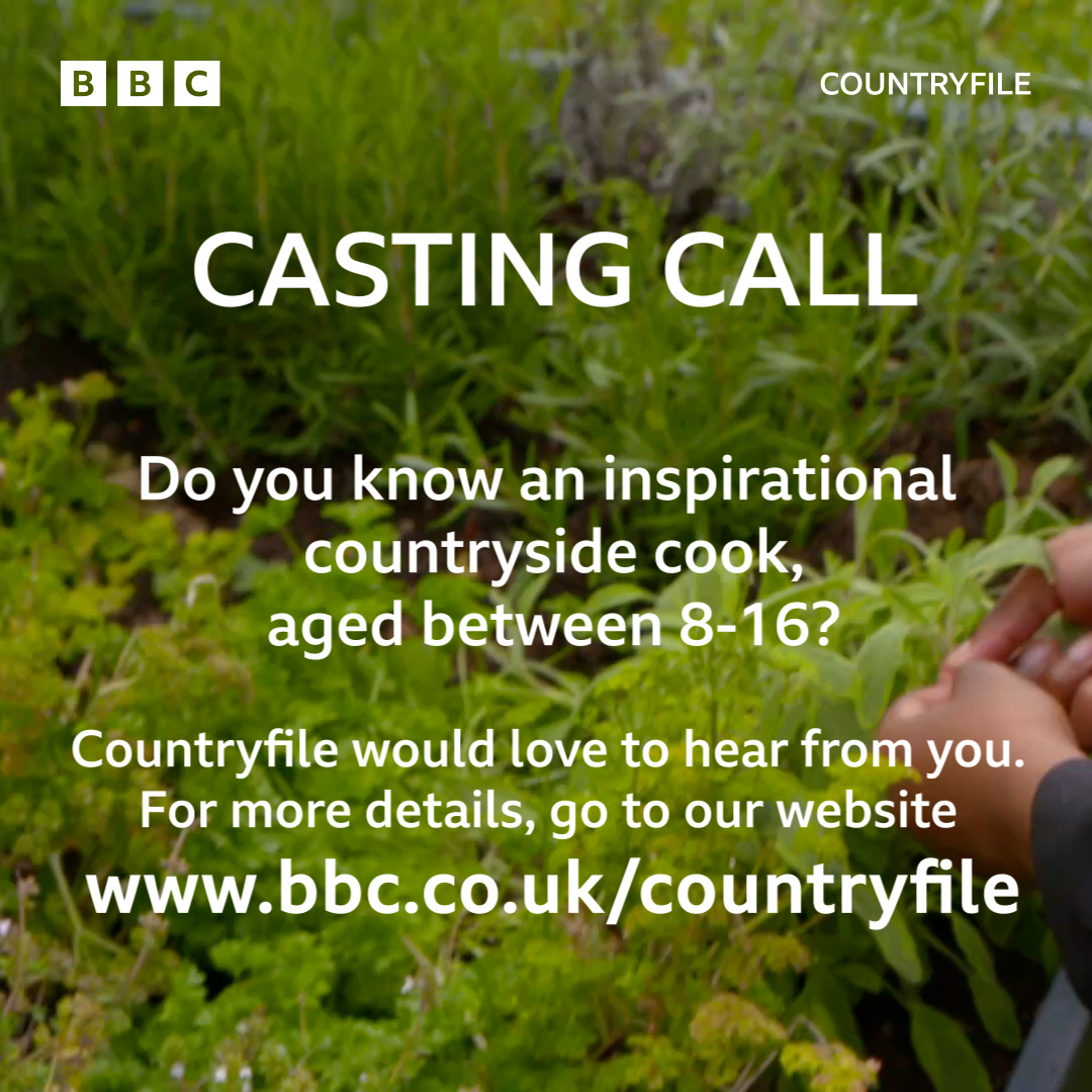 CASTING CALL 📣 Do you know an inspirational countryside cook, aged between 8-16? Countryfile would love to hear from you. For more details, go to our website bbc.co.uk/countryfile