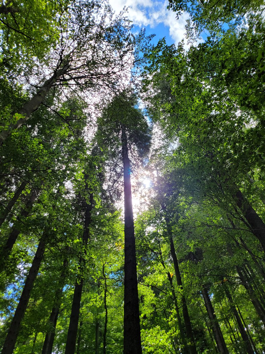 iambottled's tweet photo. Went for a hike today to blow off some steam and just needed to take some pics🔥🔥 https://t.co/xOzlArubNj