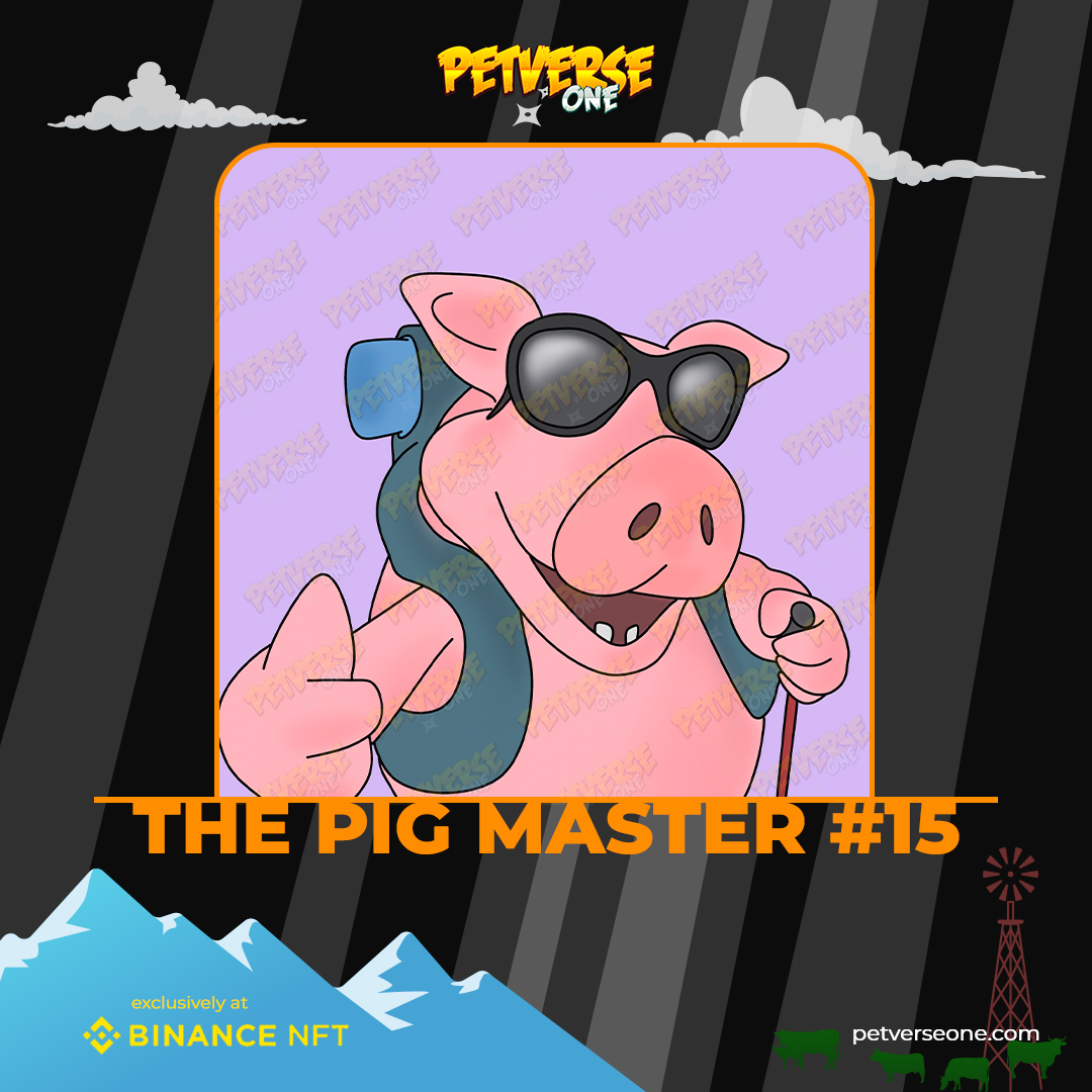 petverseone tweet media