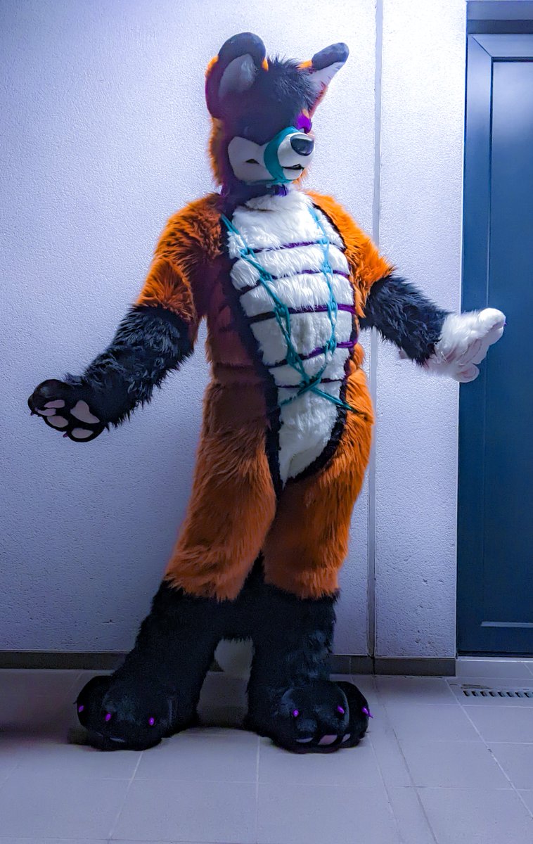 SocksLovingFox's tweet photo. More pictures of the shibari session with @rotfellfox 💙 for #ShibariSunday! #Bondage #RopeBondage #Fursuit #FursuitBondage #SoftSuiting https://t.co/em4Map9qto
