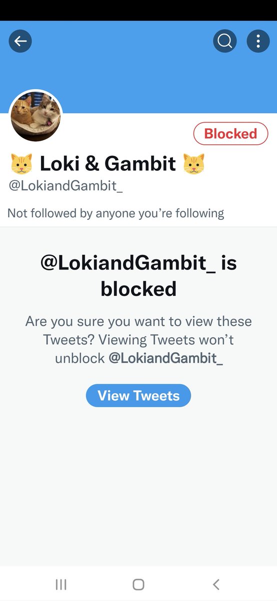 JessFudge20's tweet photo. @LokiAndGambit @HoudiniMeow @LokiandGambit_ Reported and blocked 🚫 Dad swore... #hatescam #hatescammers https://t.co/2kktidCcpt