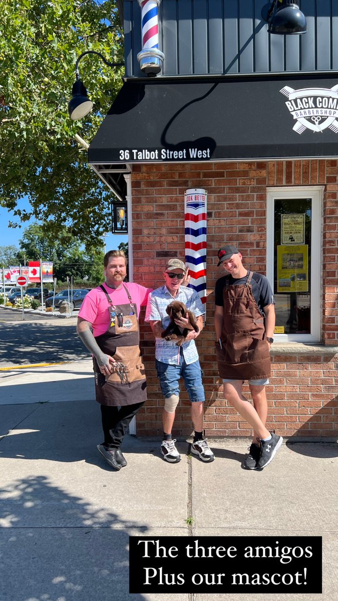 Check out black comb barbershop blenheim Facebook for a heart warming story about a elderly man, and missy the chocolate lab.