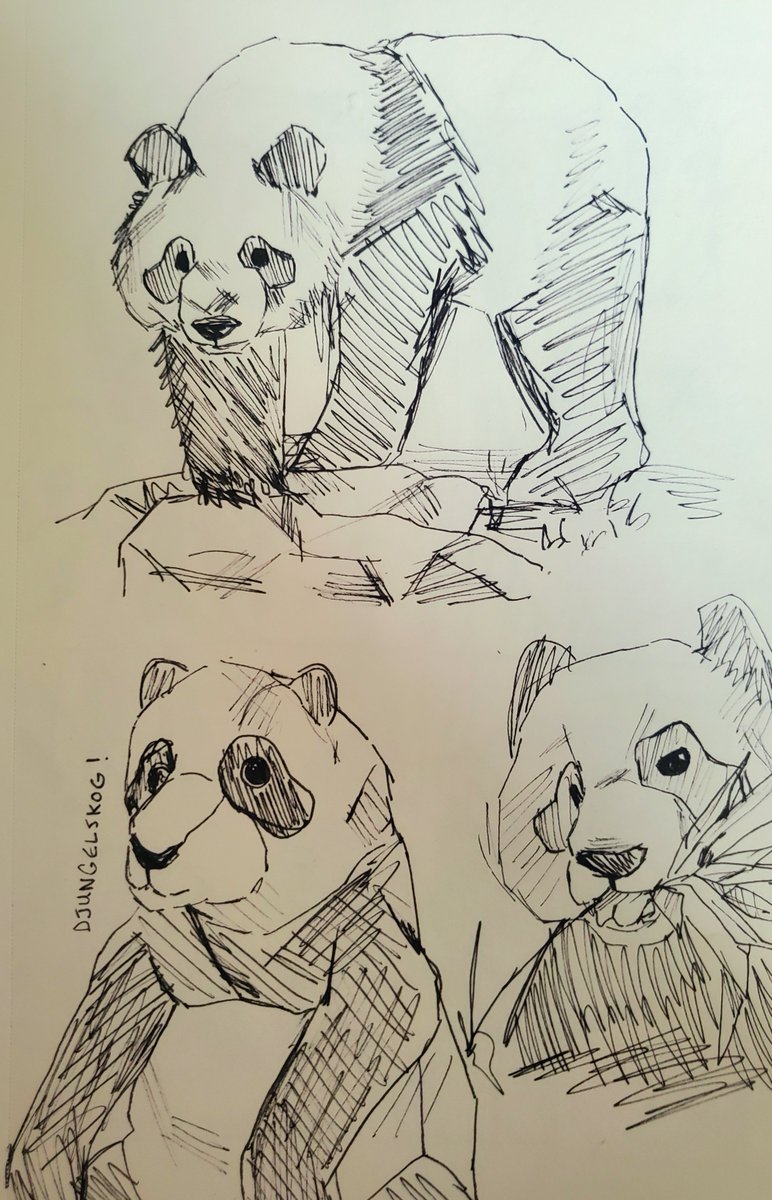 astriiics's tweet photo. sketches from a sketchbook https://t.co/4z8jn7fC2n