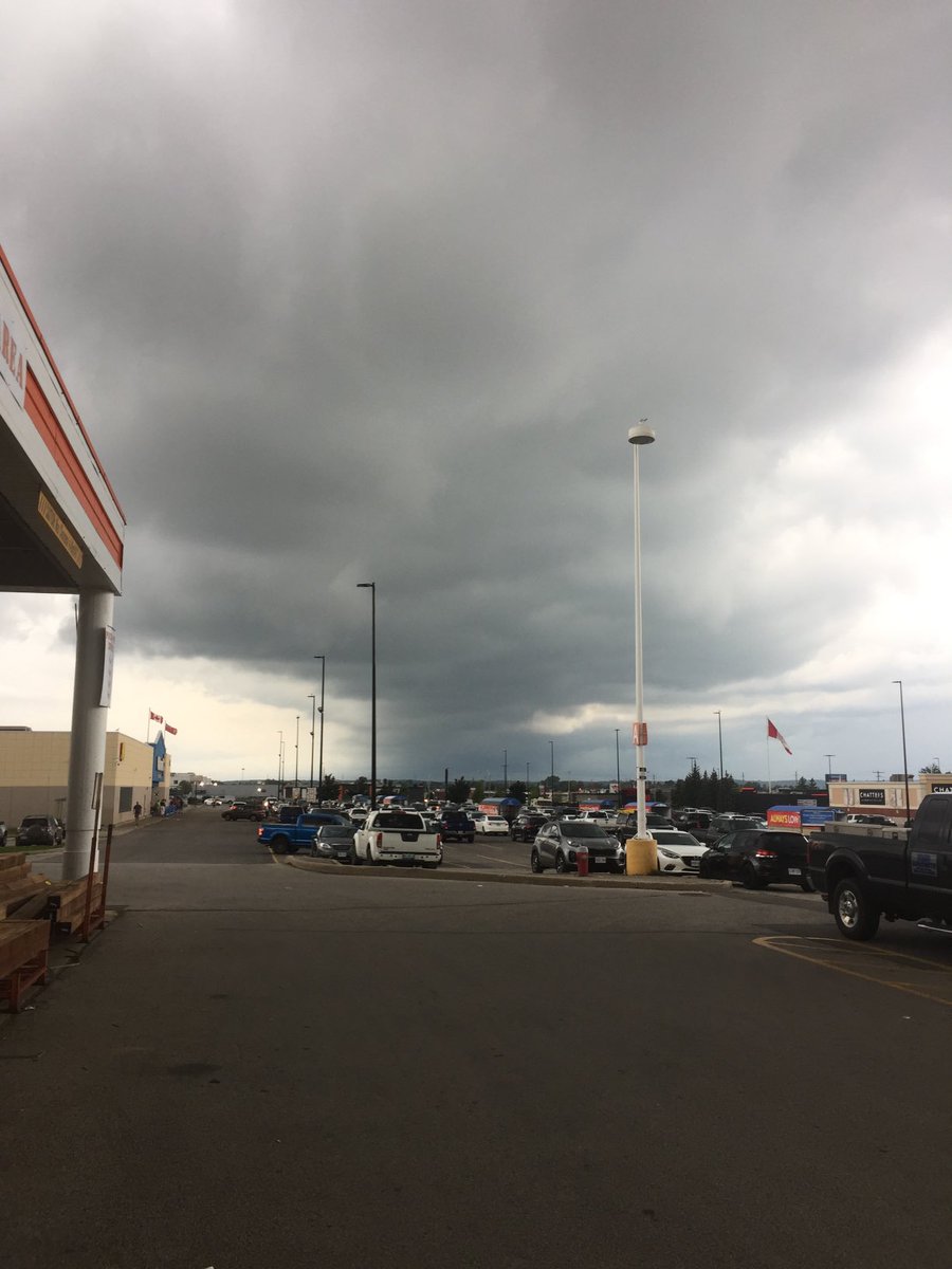 Neal Rourke tweet media