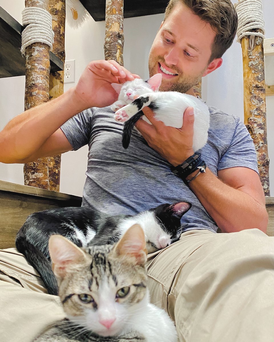 CatCafe Lounge tweet media