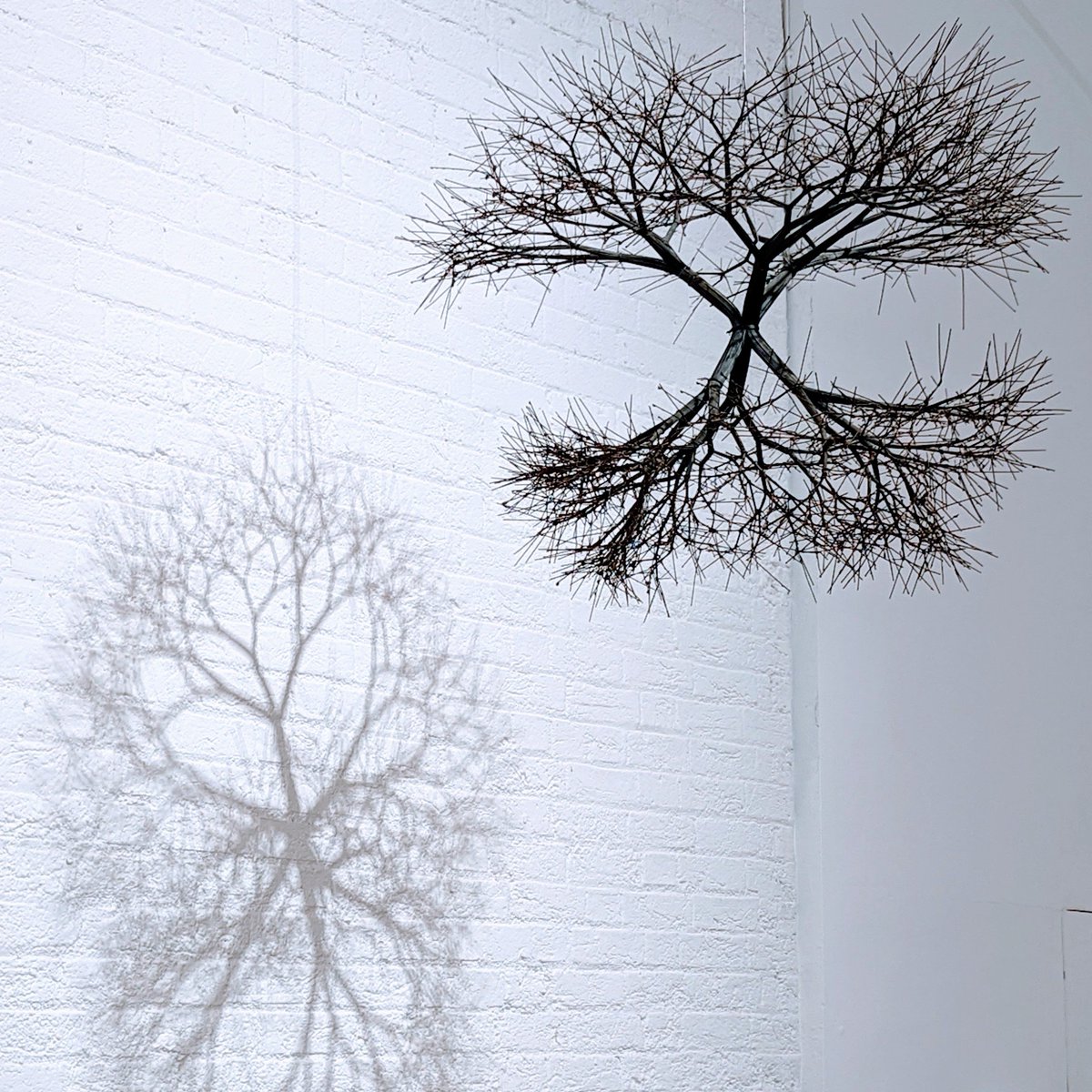 simonpmobbs's tweet photo. Glad we caught the #RuthAsawa exhibition @mao_gallery. A modernist hybrid of 3D sculpture &amp; intricate textile weaving techniques are used to create large scale organic forms - both bold and delicate. Tough and inspiring life story. Game changing art educator. https://t.co/mYI0FeTf3P