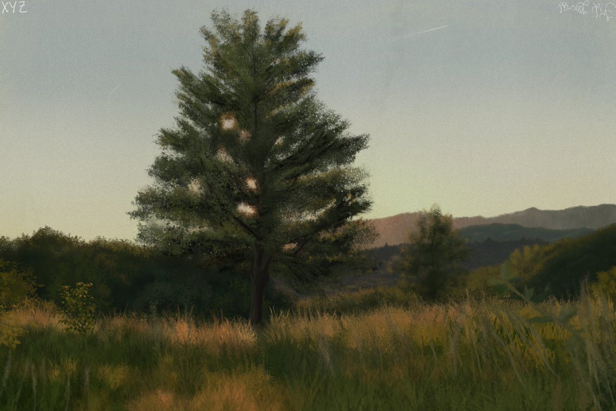 1PlayerXYZ's tweet photo. Forest - Morninglight 01
Deviantart:https://t.co/dbCsCR6E6x

#Forest #Tree #Landscape #treeslandscape #digitalpainting #digitalart #kritaartwork #krita #kritaart #kritadigitalart #morning #morninglight #sun #sunlight #trees #treesforest #kritaartist #deviantart #deviantartist https://t.co/Ew9mh3nzHA