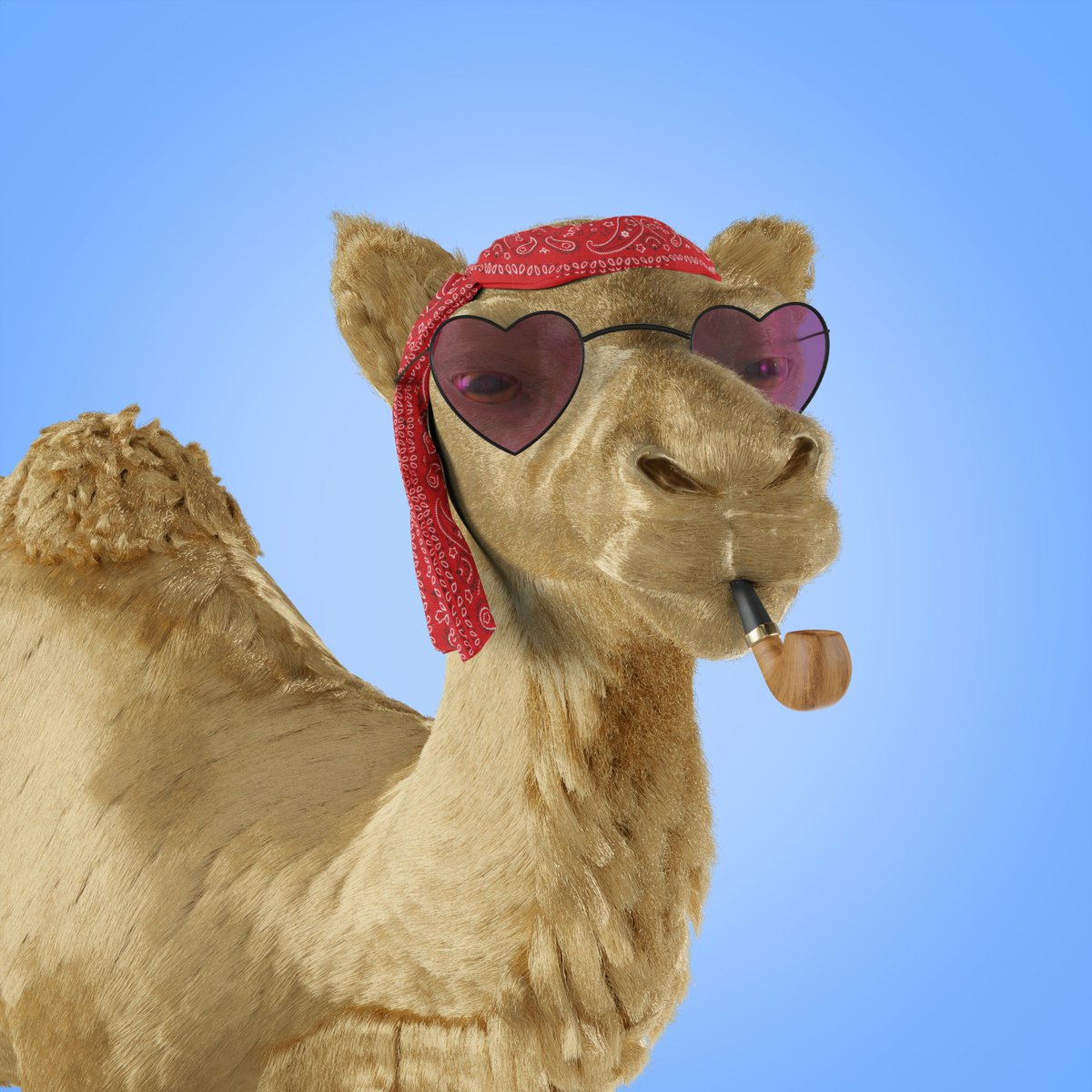 CamelClubNFT's tweet photo. CAMEL CLUB IS BACK! 🐪🚨🐪🚨🐪

We are excited to bring back one of the most legendary NFT projects on Cardano!

Don't forget to join the club on discord! Link in the description.

#camelclub #camelclub3D #CNFT https://t.co/BgJt9JOMJk