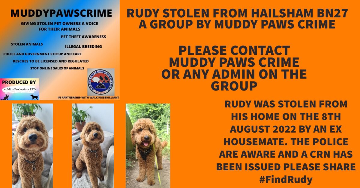 KarenFi51820768's tweet photo. Thank you all for your #RTRudy has still not been sighted anywhere @sussex_police are aware and a Crime Number has been issued, investigations are ongoing but please keep spreading the word to #FindRudy @BBCSussex can you give a #shoutout to help maybe ? Any info @muddypawscrime https://t.co/A4t8Dujn8Z