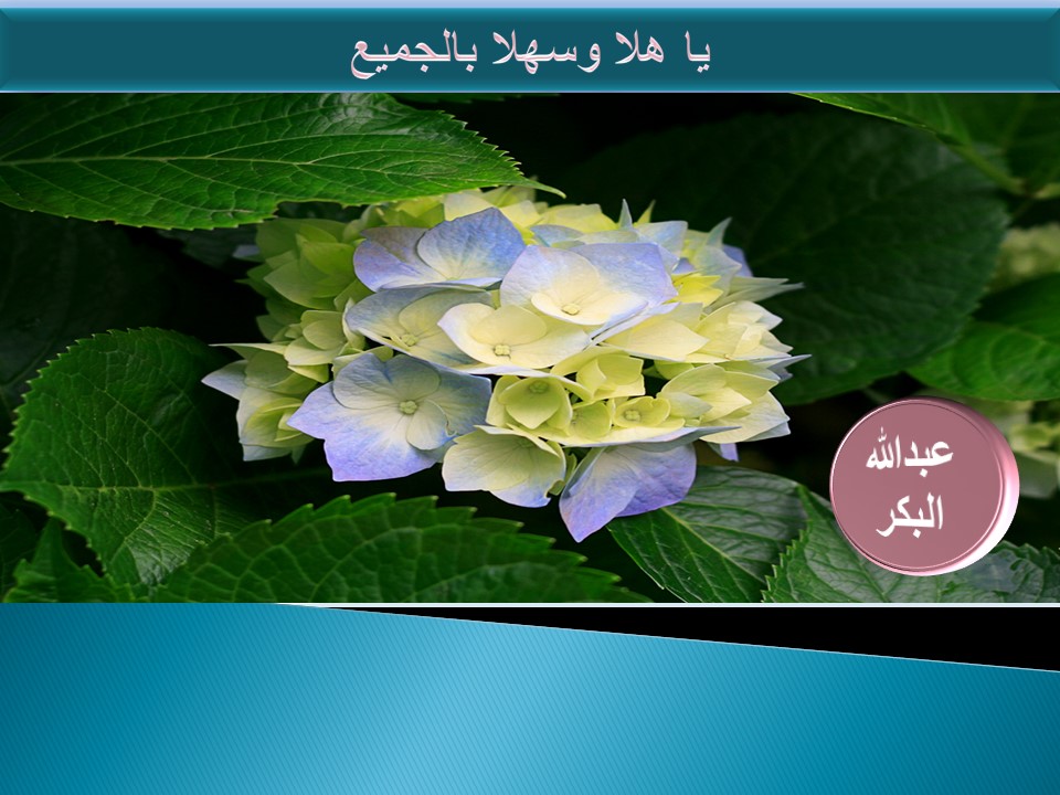 AbdullahRBaker's tweet photo. https://t.co/F9vvoX771e