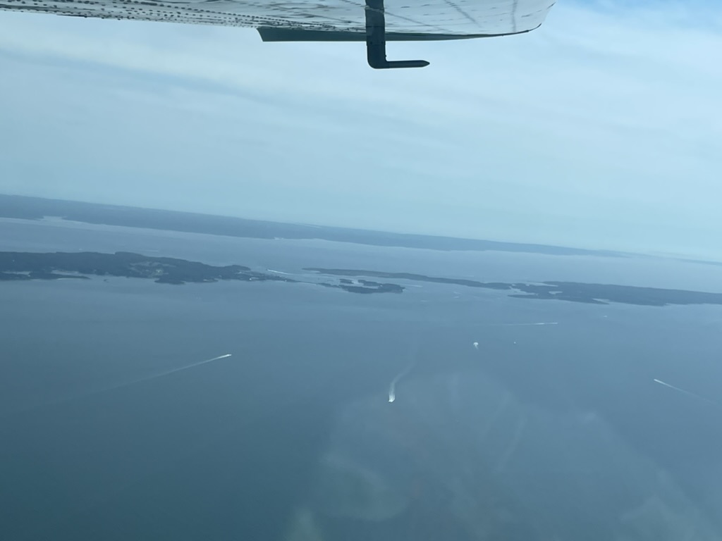 InnerEar_MBL tweet media