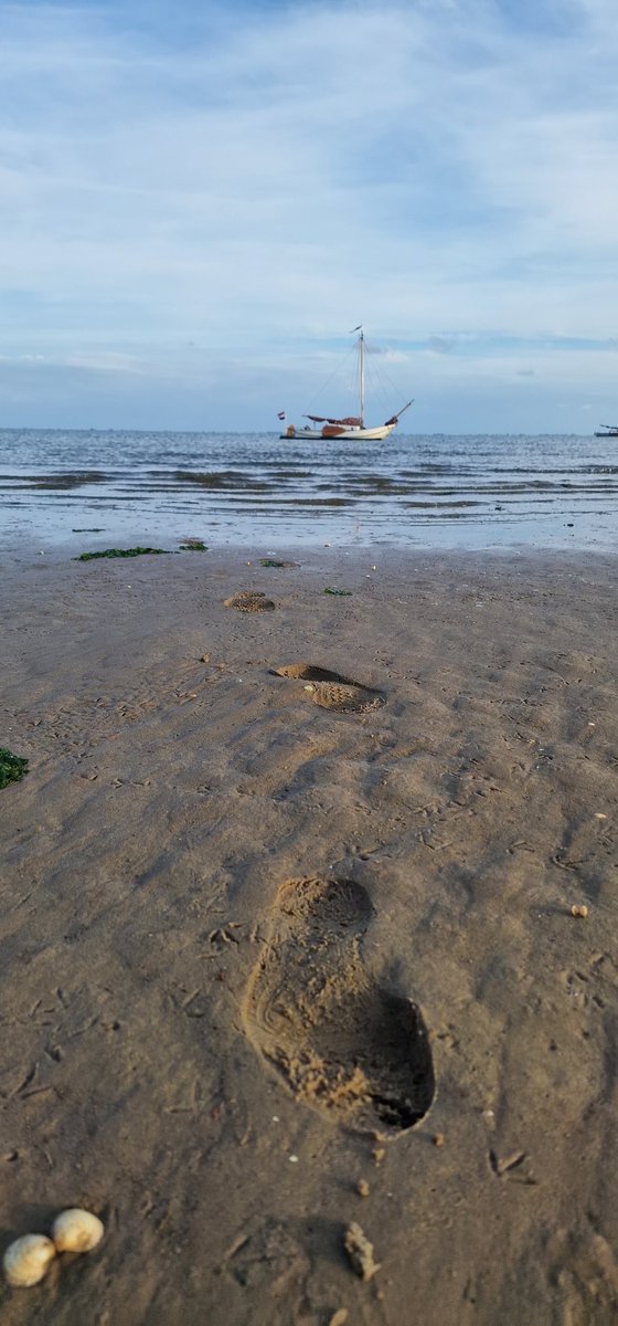 AndTheSameToYou's tweet photo. #WadEenZee #Weelde
Op het wad droogvallen 500 meter het eiland dwars oversteken langs de Noordzee wandelen en via de kwelders door de slenken terug aan boord.
ππ»π₯° https://t.co/3vcDsC4c1Y
