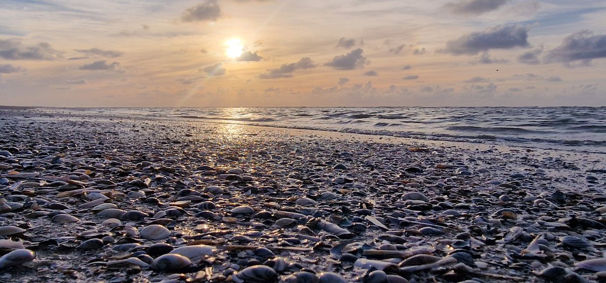 AndTheSameToYou's tweet photo. #WadEenZee #Weelde
Op het wad droogvallen 500 meter het eiland dwars oversteken langs de Noordzee wandelen en via de kwelders door de slenken terug aan boord.
ππ»π₯° https://t.co/3vcDsC4c1Y