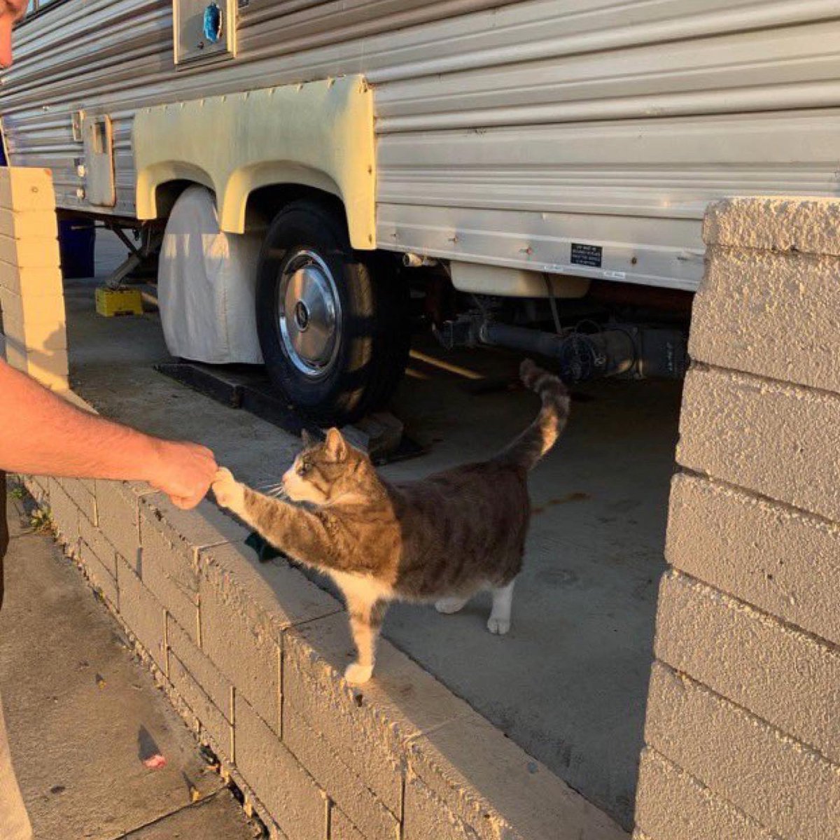 PowerfulAuraX's tweet image. 