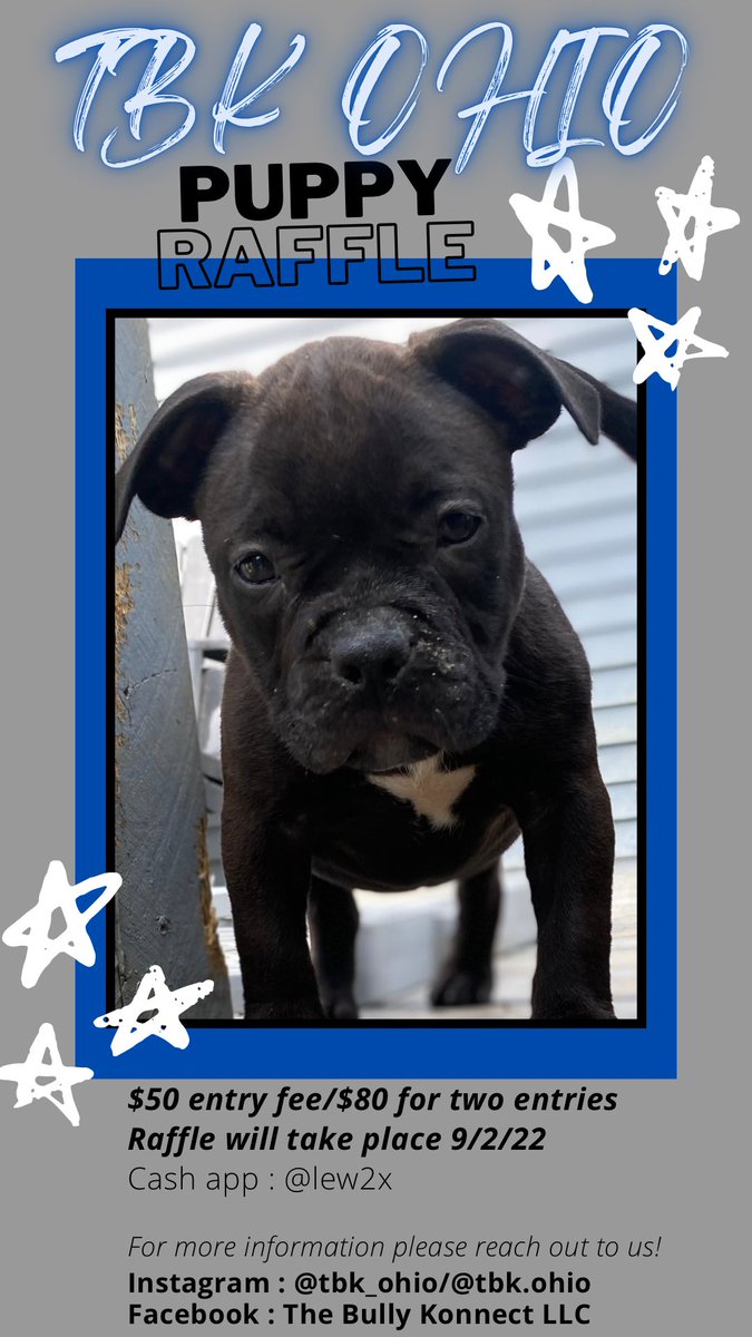 🚨🚨PUPPY RAFFLE 🚨🚨