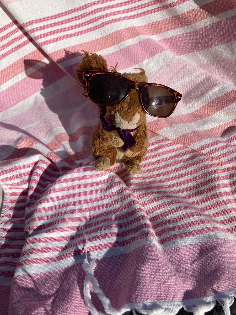 RlsStratton's tweet photo. Steve’s ready to return to Blighty now.  He’s finishing how he started, by taking in some local wildlife.  He’d like to wish Year 11 Stratton’s good luck on their results day on Thursday - as you can see, he share’s your stress.,,, https://t.co/petY8pJqoL