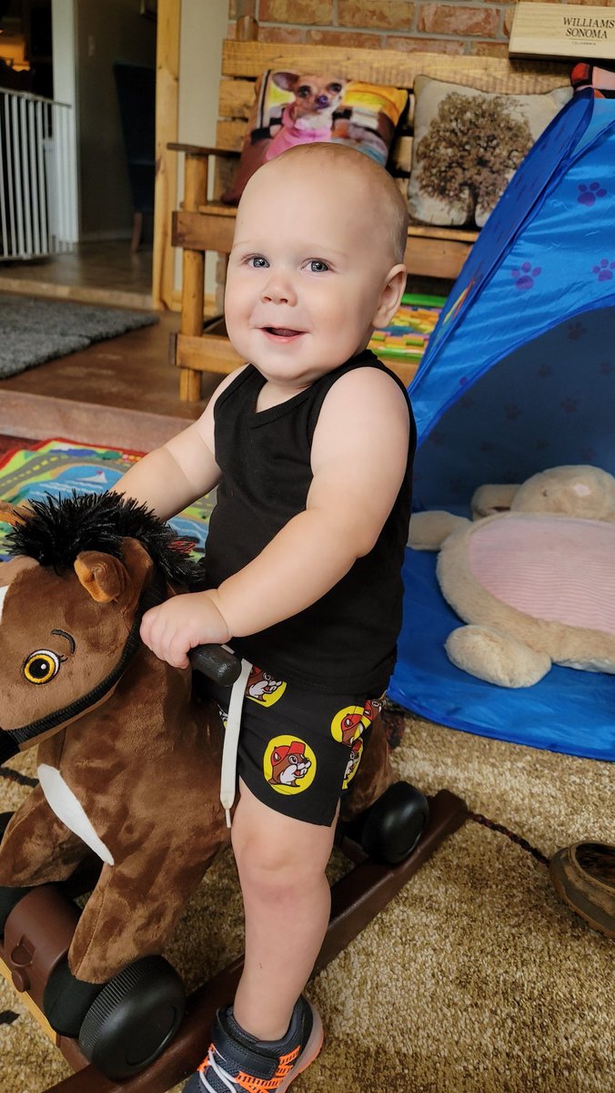 dena_s's tweet photo. Westin is growing up too fast! https://t.co/F4MCwHA8z1