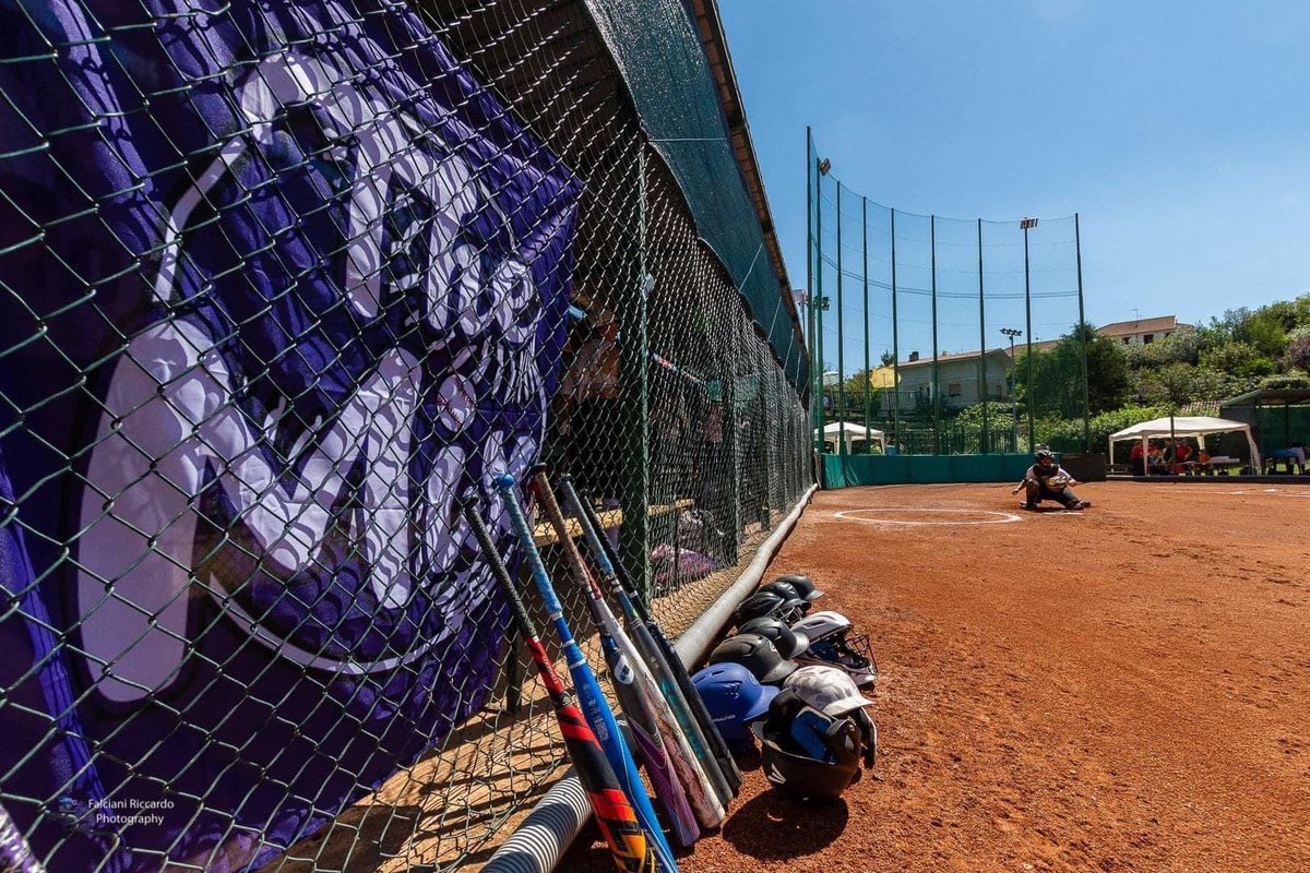 Liz Knight 🥎 tweet media