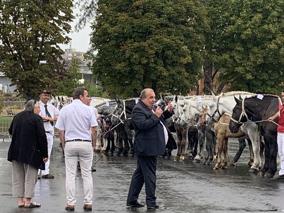 Splendide présentation de percherons en présence de ⁦<a href="/Philippe__Henry/">Philippe Henry</a>⁩ . Accueil d’une délégation de japonais venue sélectionner des chevaux pour export . Des familles d’éleveurs passionnées soutenues par ⁦<a href="/sfet_equides/">SFET - Société Française des Équidés de Travail</a>⁩ , ⁦<a href="/paysdelaloire/">Pays de la Loire</a>⁩ ⁦<a href="/C_MORANCAIS/">Christelle MORANÇAIS</a>⁩
