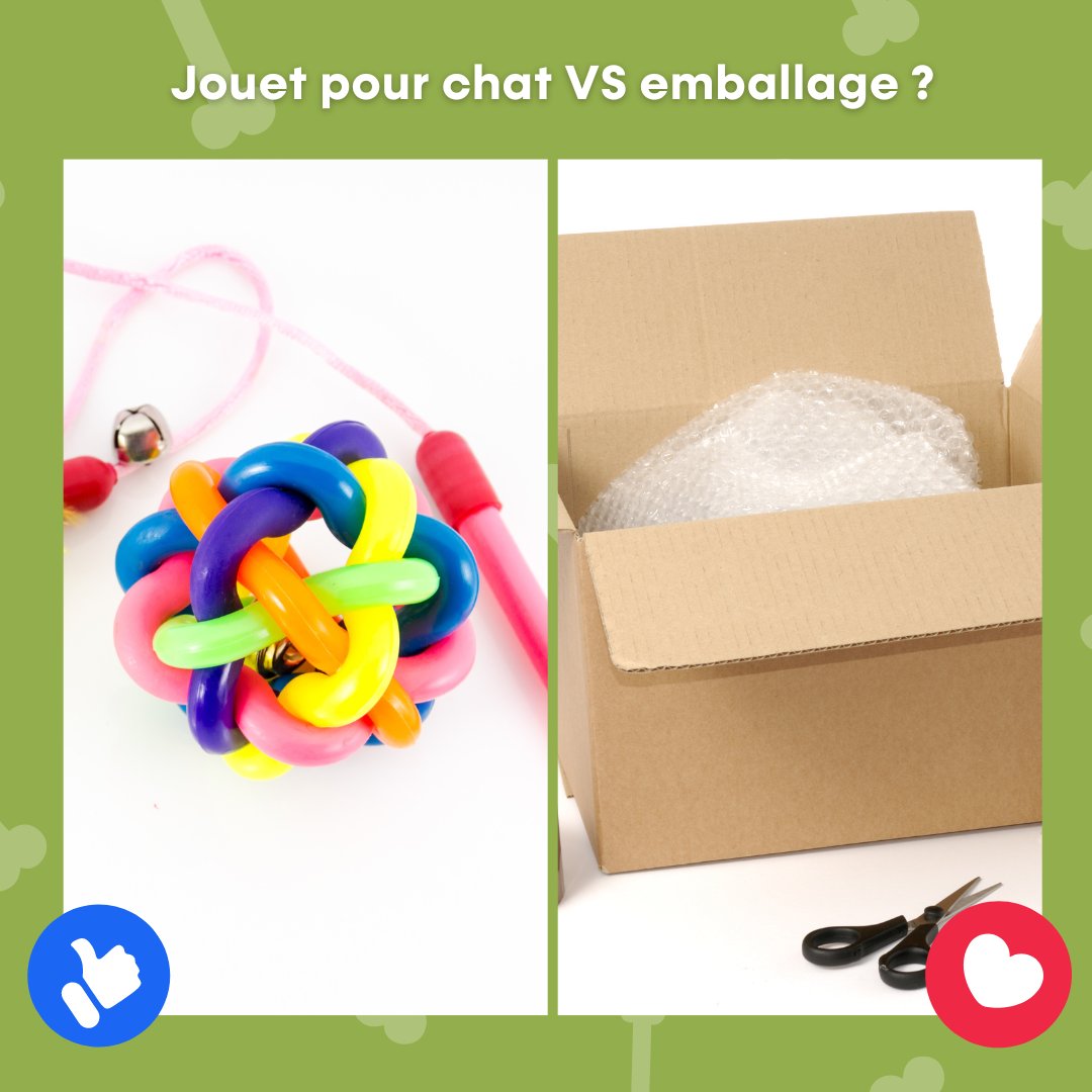 Jouet sophistiqué ou pas, souvent le chat préfère l'emballage.😅

Et vous, votre félin préfere-t-il l'emballage ou le jouet?😺
