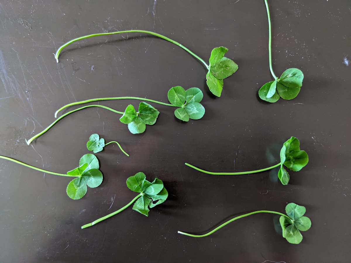 make your own luck 🤞🏻😃