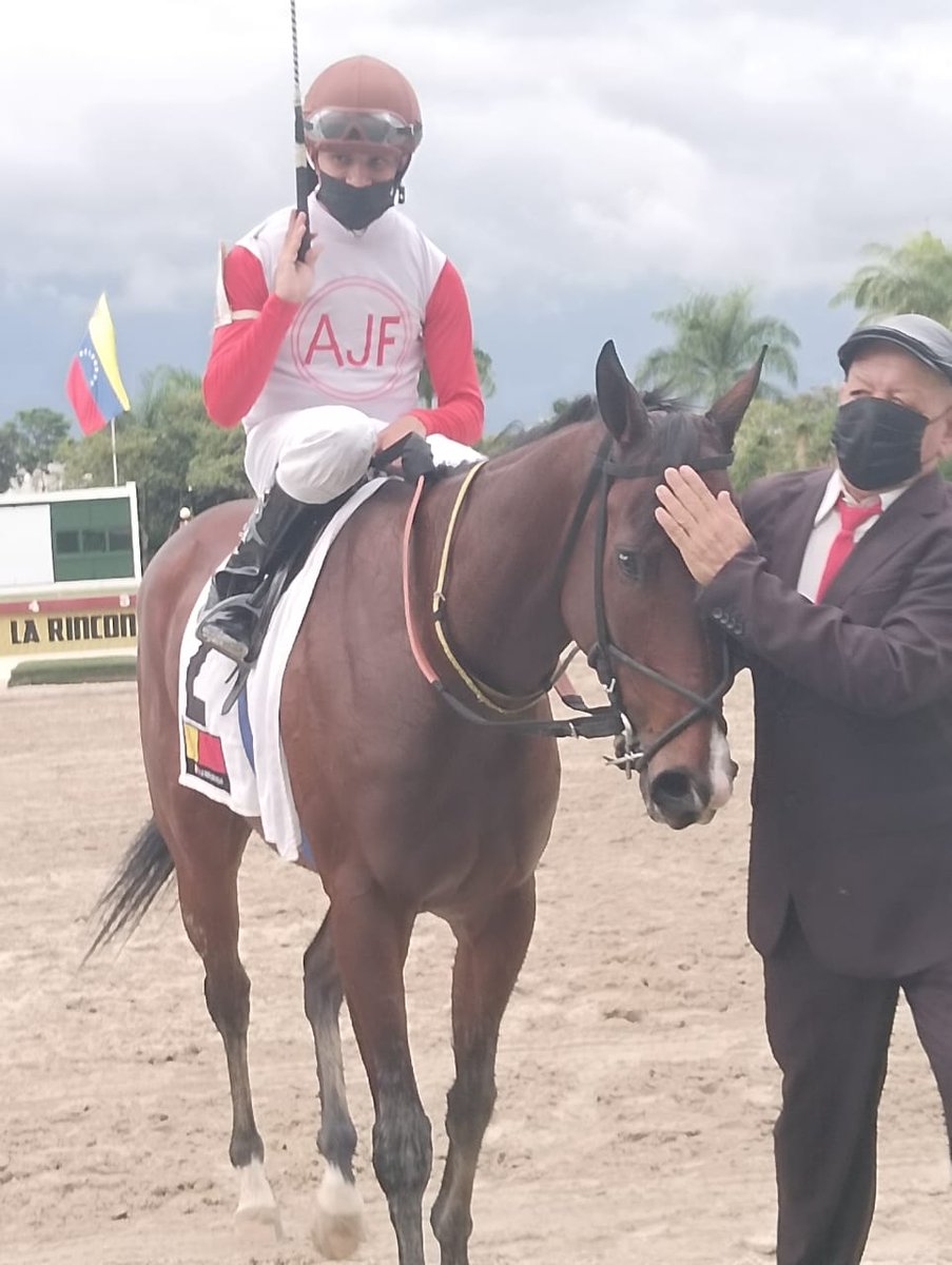Fotos 📸 | En la 2da. válida para el 5y6 de la R34 en el Hipódromo Internacional La Rinconada obtuvo la victoria "Aurora Austral" (2), con la monta de K. Aray y entrenamiento de F. Parilli. 

👉 En el segundo puesto llegó "Elorza Princess" (4). 

#Hipismo 🏇