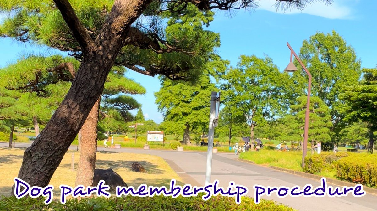 Uri_and_Taiga's tweet photo. Dog park membership procedure https://t.co/V7fOfvZfPV @YouTubeより
My mom took care of the renewal procedures for the dog park.
#Pet #Dog #MiniaturePinscher #MinPin #Boy #Walk #Park #DogPark #Update #MembershipSystem #ペット #犬 #ミニチュアピンシャー #ミニピン #男の子 #水元公園 https://t.co/AzHnWAs6XF