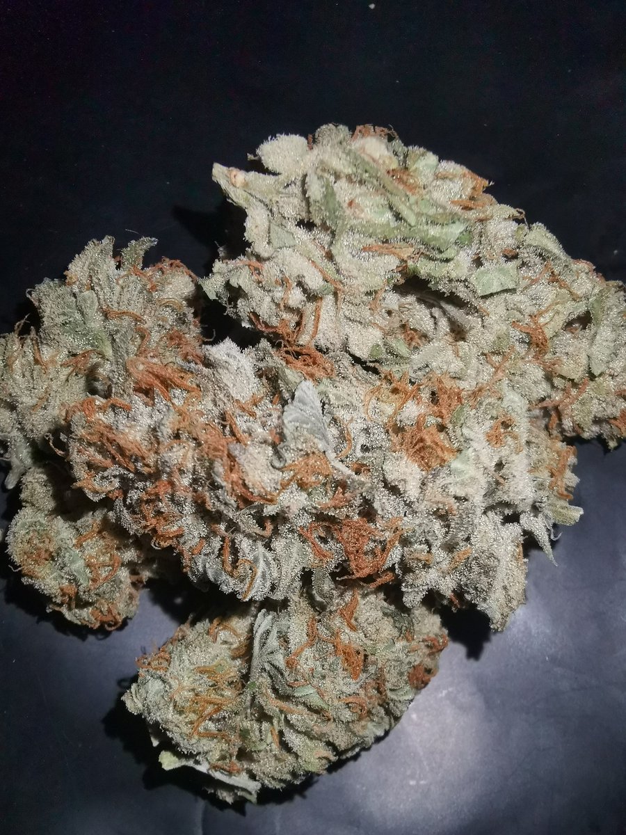 Getkit1's tweet image. OG​ งานดี​ ราคามิตรภาพ​  👍
Pink Haze
Lemon Cookies
Bubblegum
Golila​ glue
==============
ชมสินค้าอื่นได้ที่​ shop.line.me/@597mponl
ติดต่อ​ Line : @597mponl
#กัญชา #ขายกัญชา #กัญชาเชียงใหม่ #กัญชาออแกนิค #กัญชากรุงเทพ #กัญชาโอจี​ #กัญชาog #กัญชาเสรี​ #marijuana #กัญชาอัดแท่ง