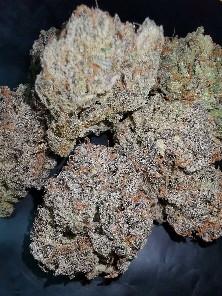 Getkit1's tweet image. OG​ งานดี​ ราคามิตรภาพ​  👍
Pink Haze
Lemon Cookies
Bubblegum
Golila​ glue
==============
ชมสินค้าอื่นได้ที่​ shop.line.me/@597mponl
ติดต่อ​ Line : @597mponl
#กัญชา #ขายกัญชา #กัญชาเชียงใหม่ #กัญชาออแกนิค #กัญชากรุงเทพ #กัญชาโอจี​ #กัญชาog #กัญชาเสรี​ #marijuana #กัญชาอัดแท่ง