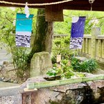 ツイートに含まれる画像