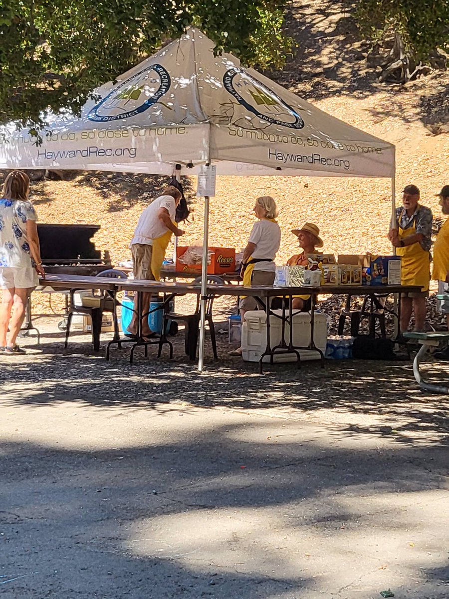 saralamnin's tweet photo. Today until 5pm. Live music, delicious burgers and dogs, and the chance to support the #HARDFoundation Memorial park bandstand https://t.co/MAkD6A8qav https://t.co/Bz1szq9fFO