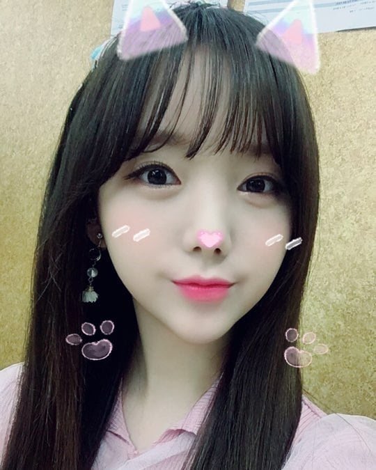 Coloryz_twt's tweet photo. ♡ꜜ ιᥒ thᥱιr hᥱᥲrts ᥲᥒd ιᥒ thᥱιr mιᥒds · [🎫] * ᴡᴇ ᴀʀᴇ : @ _COLORYZ ° 奈 #PinkFactory4ThCB + #Pf뿐One

No podíamos perdernos el regreso de nuestras bebés y nos llena de mucha alegría que estén cumpliendo todas sus metas. Las amamos https://t.co/0AbpcJjW5q