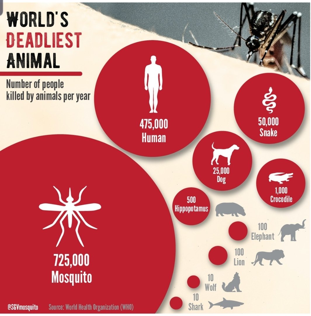 #WorldMosquitoDay2022