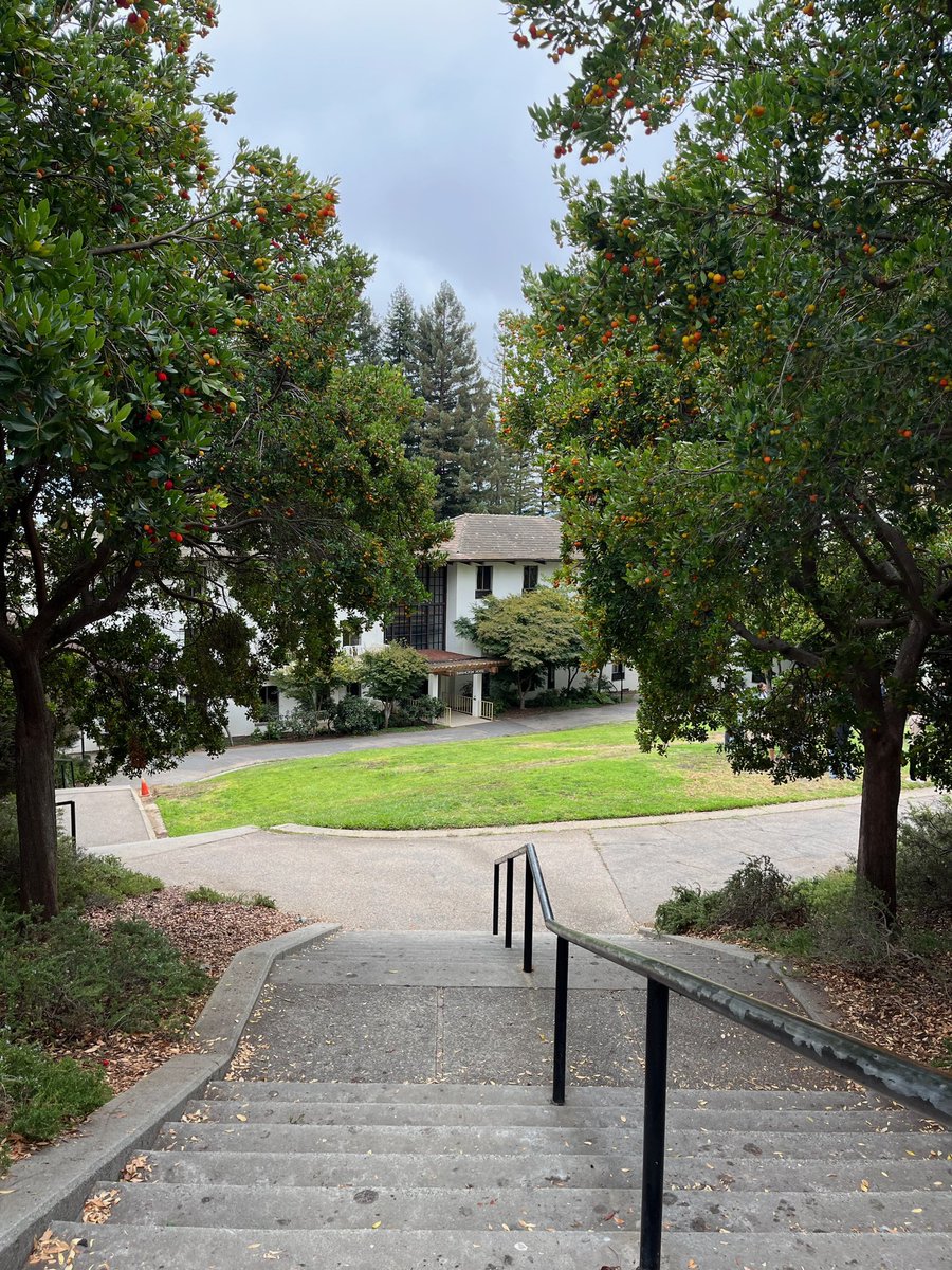 Jeff Erickson tweet media