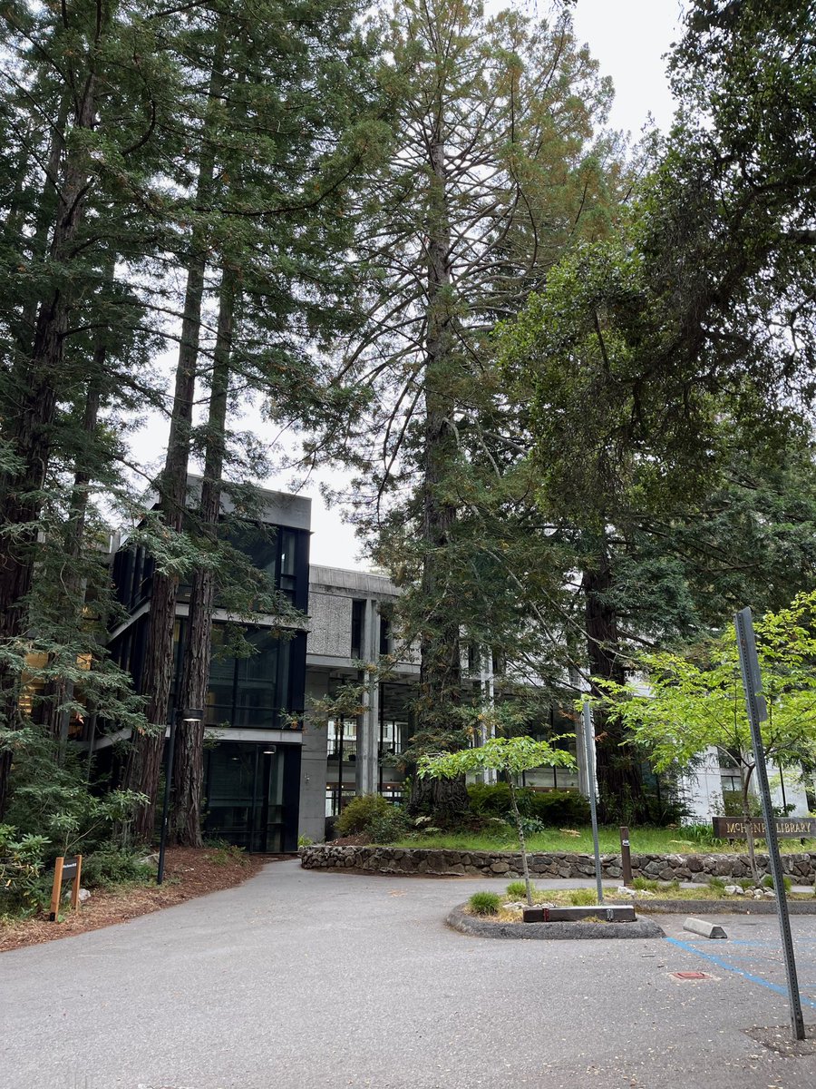 Jeff Erickson tweet media